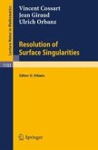 Resolution of Surface Singularities (eBook, PDF)