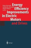 Energy Efficiency Improvements in Electronic Motors and Drives (eBook, PDF)