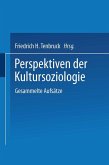Perspektiven der Kultursoziologie (eBook, PDF)