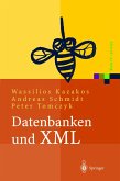 Datenbanken und XML (eBook, PDF)