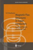 Magnetic Flux Structures in Superconductors (eBook, PDF)