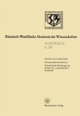 Internationale des Schwertes Transnationale Beziehungen im Zeitalter der "vaterländischen" Streitkräfte (eBook, PDF)