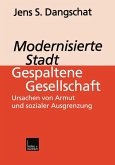 Modernisierte Stadt - gespaltene Gesellschaft (eBook, PDF)