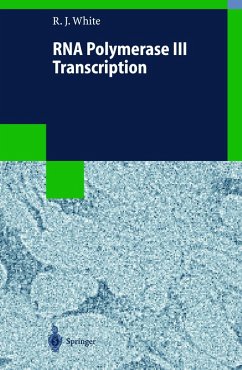 Cover RNA Polymerase III Transcription (eBook, PDF)