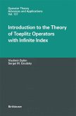 Introduction to the Theory of Toeplitz Operators with Infinite Index (eBook, PDF)