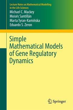 Simple Mathematical Models of Gene Regulatory Dynamics (eBook, PDF) - Mackey, Michael C.; Santillán, Moisés; Tyran-Kamińska, Marta; Zeron, Eduardo S.