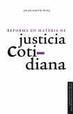 Reforma en materia de justicia cotidiana (eBook, PDF)