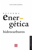 Reforma energética. Hidrocarburos (eBook, PDF)