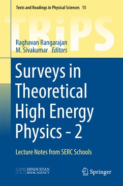 Surveys in Theoretical High Energy Physics - 2 (eBook, PDF)