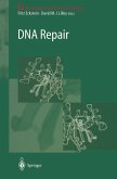 DNA Repair (eBook, PDF)