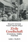 Zivile Gesellschaft (eBook, PDF)