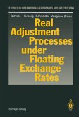 Real Adjustment Processes under Floating Exchange Rates (eBook, PDF)