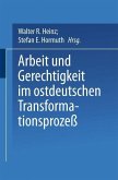 Arbeit und Gerechtigkeit im ostdeutschen Transformationsprozeß (eBook, PDF)