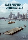 Industrialization and Challenges in Asia (eBook, PDF)