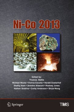 Ni-Co 2013 (eBook, PDF)