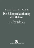 Die Selbststrukturierung der Materie (eBook, PDF)