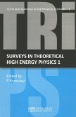 Surveys in theoretical high energy physics 1 (eBook, PDF) Surveys in theoretical high energy physics 1 (eBook, PDF)