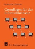 Grundlagen für den Informatikeinsatz (eBook, PDF)