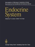 Endocrine System (eBook, PDF)