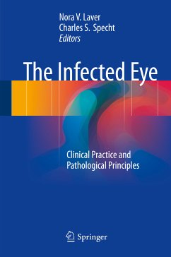 The Infected Eye (eBook, PDF)