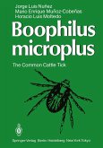 Boophilus microplus (eBook, PDF)