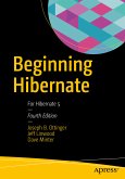 Beginning Hibernate (eBook, PDF)