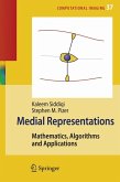 Medial Representations (eBook, PDF)