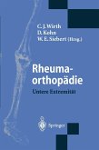 Rheumaorthopädie - Untere Extremität (eBook, PDF)