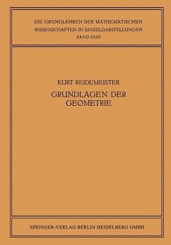 Cover Vorlesungen über Grundlagen der Geometrie (eBook, PDF)