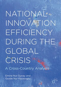 National Innovation Efficiency During the Global Crisis (eBook, PDF) - Gunay, Emine Nur; Kazazoglu, Gozde Nur