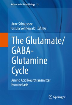 The Glutamate/GABA-Glutamine Cycle (eBook, PDF)