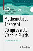 Mathematical Theory of Compressible Viscous Fluids (eBook, PDF)