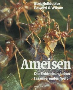 Ameisen (eBook, PDF) - Hölldobler, Bert; Wilson, Edward O.