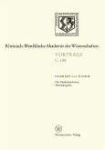 Die Medicimadonna Michelangelos (eBook, PDF)