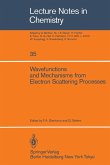 Wavefunctions and Mechanisms from Electron Scattering Processes (eBook, PDF)
