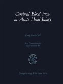 Cerebral Blood Flow in Acute Head Injury (eBook, PDF)