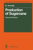 Production of Sugarcane (eBook, PDF)