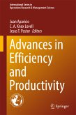 Advances in Efficiency and Productivity (eBook, PDF)