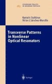 Transverse Patterns in Nonlinear Optical Resonators (eBook, PDF)