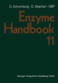 Enzyme Handbook (eBook, PDF)