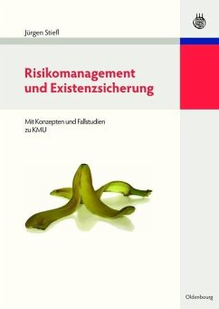 Risikomanagement und Existenzsicherung (eBook, PDF) - Stiefl, Jürgen