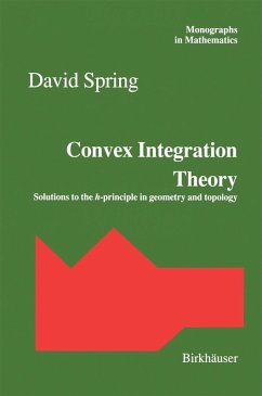 Convex Integration Theory (eBook, PDF)