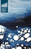 Entrepreneurial Universities in Innovation-Seeking Countries (eBook, PDF)