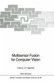 Multisensor Fusion for Computer Vision (eBook, PDF)