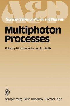Multiphoton Processes (eBook, PDF)
