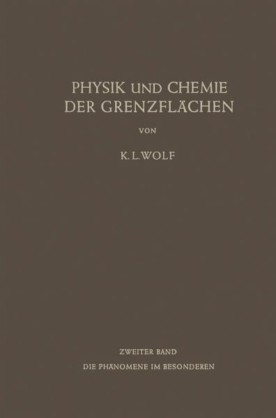 Physik und Chemie der Grenzflächen (eBook, PDF)