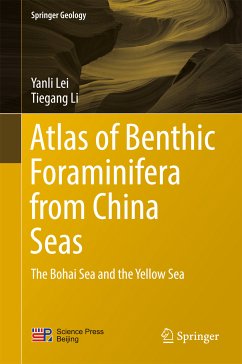 Atlas of Benthic Foraminifera from China Seas (eBook, PDF) - Lei, Yanli; Li, Tiegang