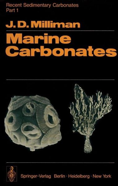 Recent Sedimentary Carbonates (eBook, PDF)