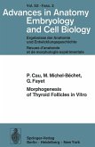 Morphogenesis of Thyroid Follicles in Vitro (eBook, PDF)