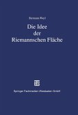 Die Idee der Riemannschen Fläche (eBook, PDF)
